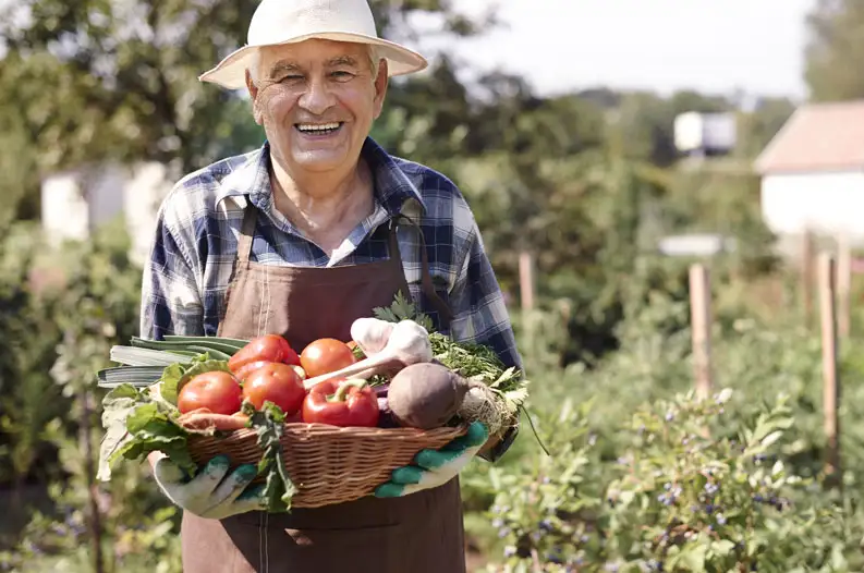 Fancy farm image showcasing sustainable agricultural practices supported by Almighty Coir products.