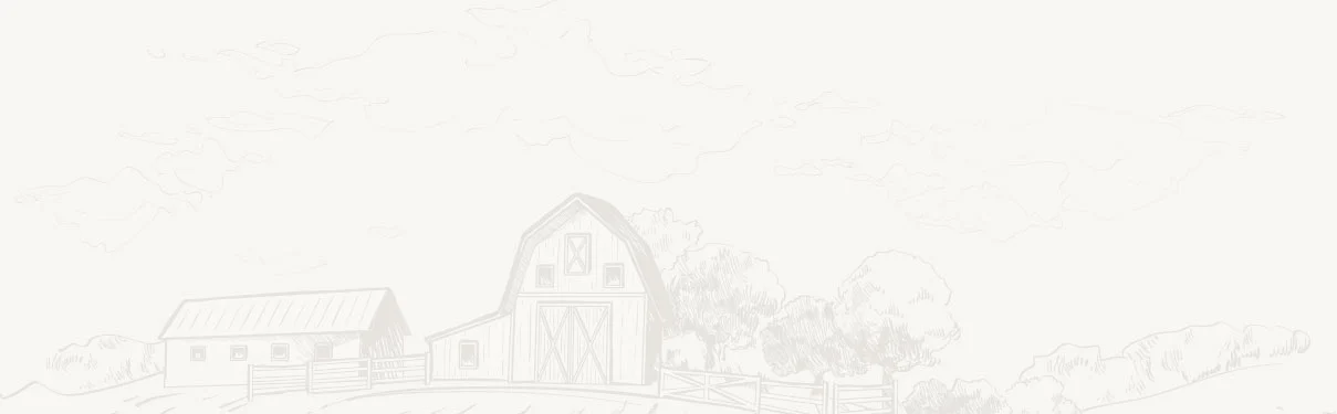 The Image shows farm image featuring lush green fields and sustainable agricultural practices, representing Almighty Coir's dedication to eco-friendly farming.