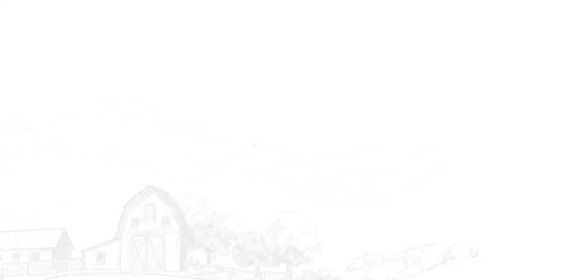 High-quality farm image showcasing coir-based agricultural solutions by Almighty Coir.