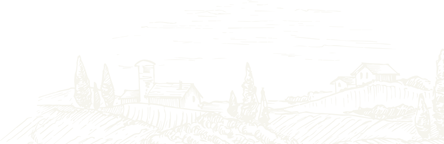 Farm image showing eco-friendly cultivation practices promoted by Almighty Coir.