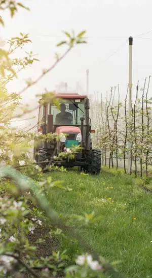High-quality horticulture image with sustainable cocopeat applications by Almighty Coir.