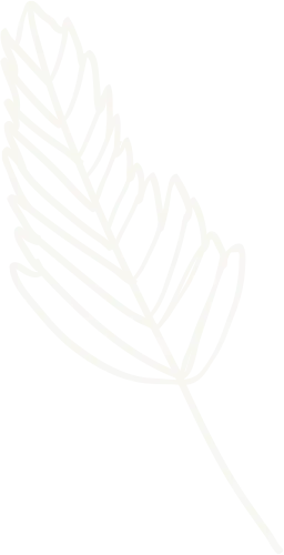 Leaf pattern design used as an eco-friendly decorative element on the Almighty Coir website.