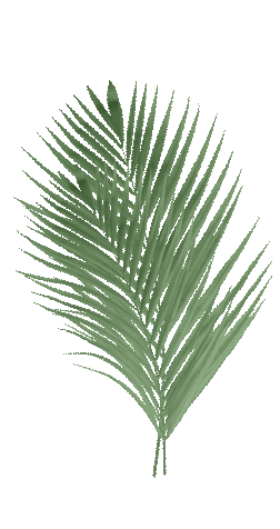 Background image with leaf patterns used for eco-friendly branding on the Almighty Coir website.