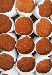 Coco grow bags image highlighting Almighty Coir’s premium offerings for horticulture and agriculture.