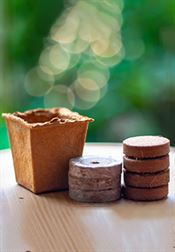 Coco disc image representing premium, eco-friendly plant-growing mediums by Almighty Coir.