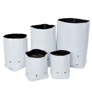 Coco grow bags image demonstrating their application in horticulture, manufactured by Almighty Coir.