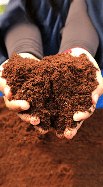 Cocopeat image highlighting sustainable, high-performance soil enhancement solutions by Almighty Coir.