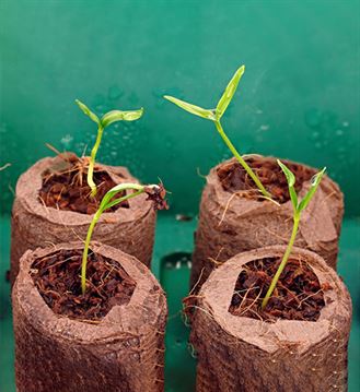 FAQ section image used for easy navigation and customer queries on the Almighty Coir website.