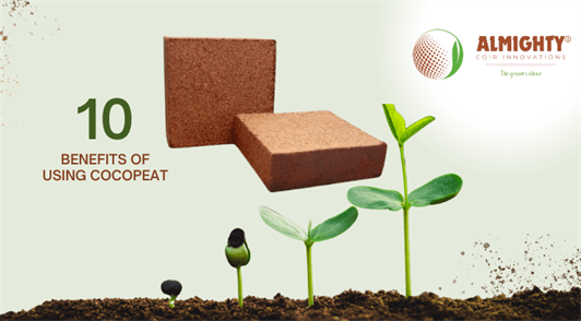 Top 10 Benefits of Using Coco Peat