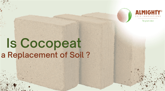 Is Cocopeat a Replacement for Soil?