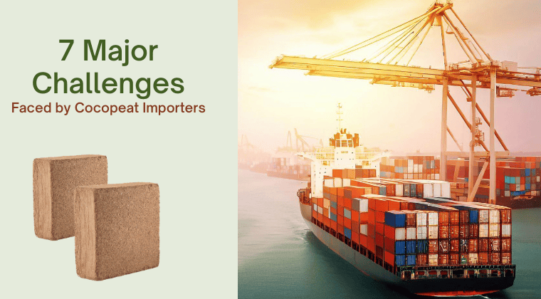 7 Major Challenges Faced by Cocopeat Importers