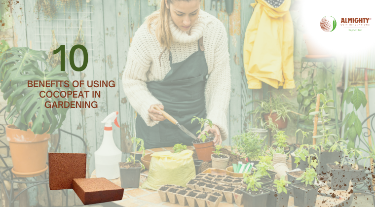 Top 10 Benefits of Using Cocopeat in Gardening