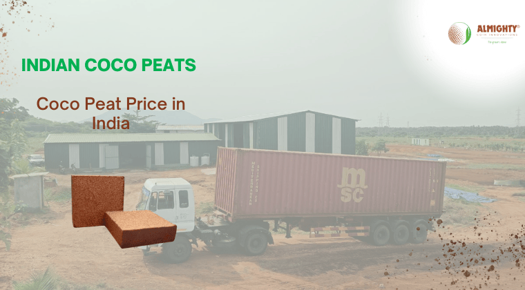 Coco Peat Price in India: A Comprehensive Guide for Bulk Importers