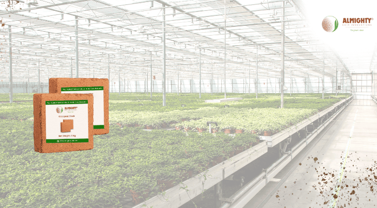 Where to Buy Coco Peat in India