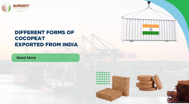 Top 9 Different Forms of Coco Peat Exported from India