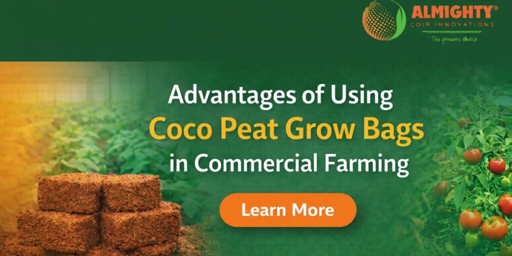 Advantages of Using Coco Peat Grow Bags in Commercial Farming