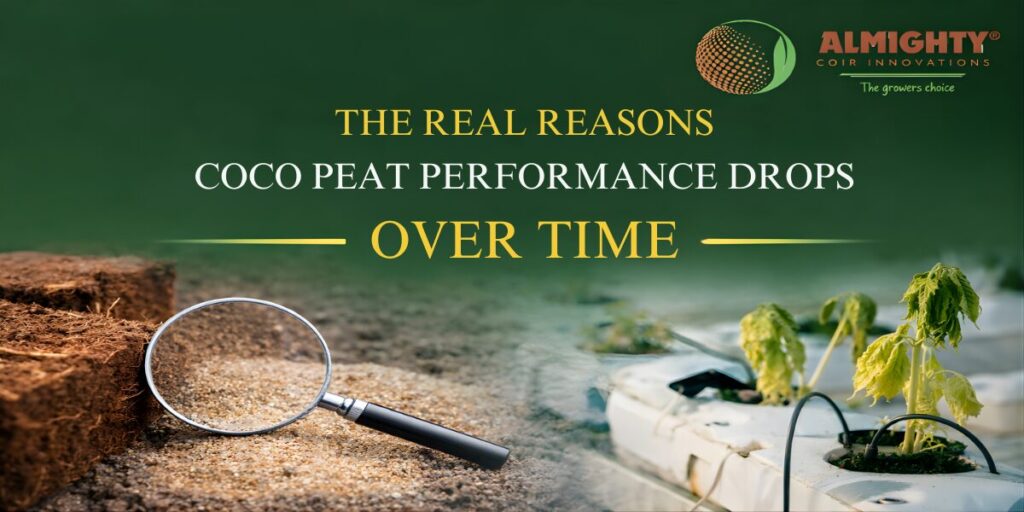 The Real Reasons Coco Peat Performance Drops Over Time
