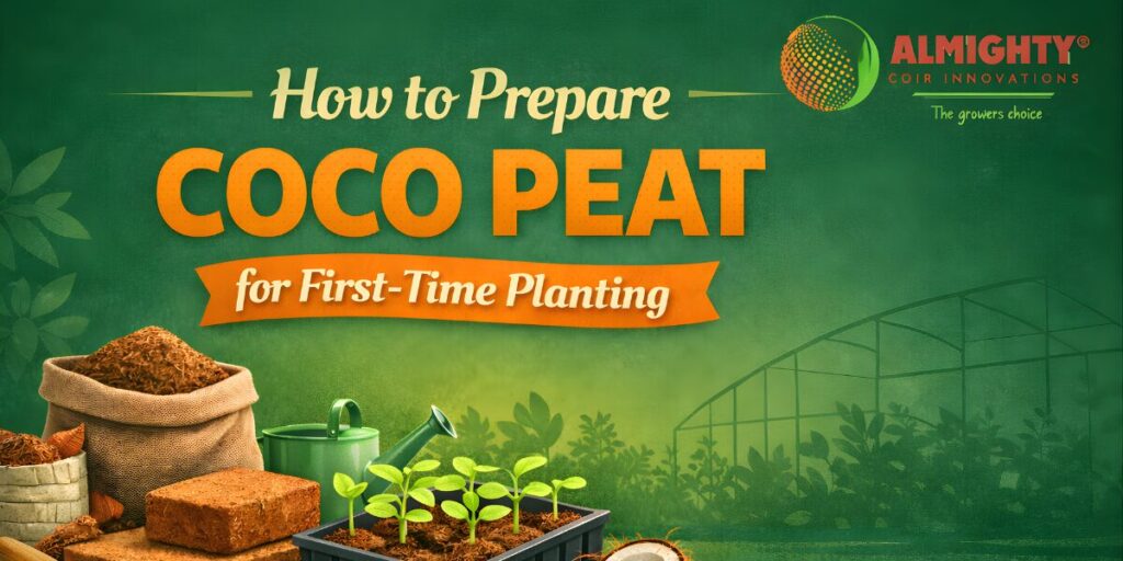 How to Prepare Coco Peat for First-Time Planting