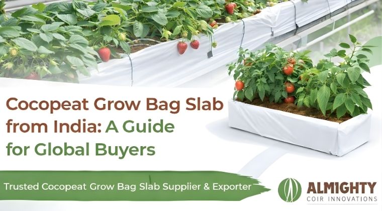 Cocopeat Grow Bag Slab from India: A Guide for Global Buyers