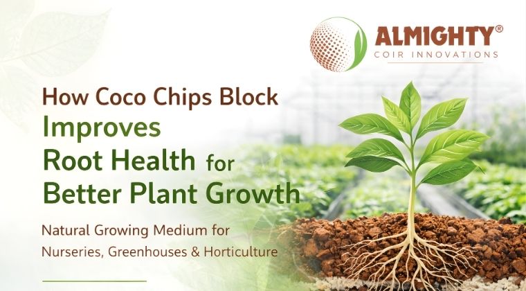 How Coco Chips Block Improves Root Health for Better Plant Growth