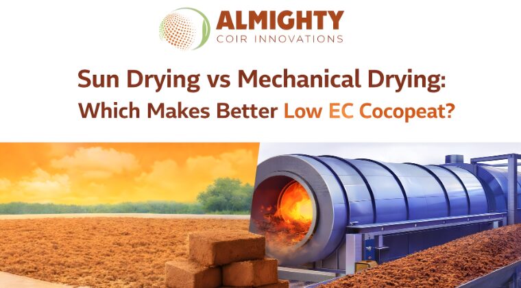 Sun Drying vs Mechanical Drying: Which Makes Better Low EC Cocopeat?